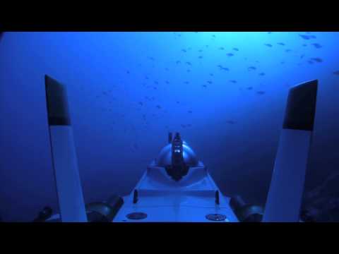 | BlueLife Discovery