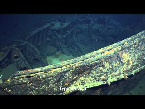 | BlueLife Discovery