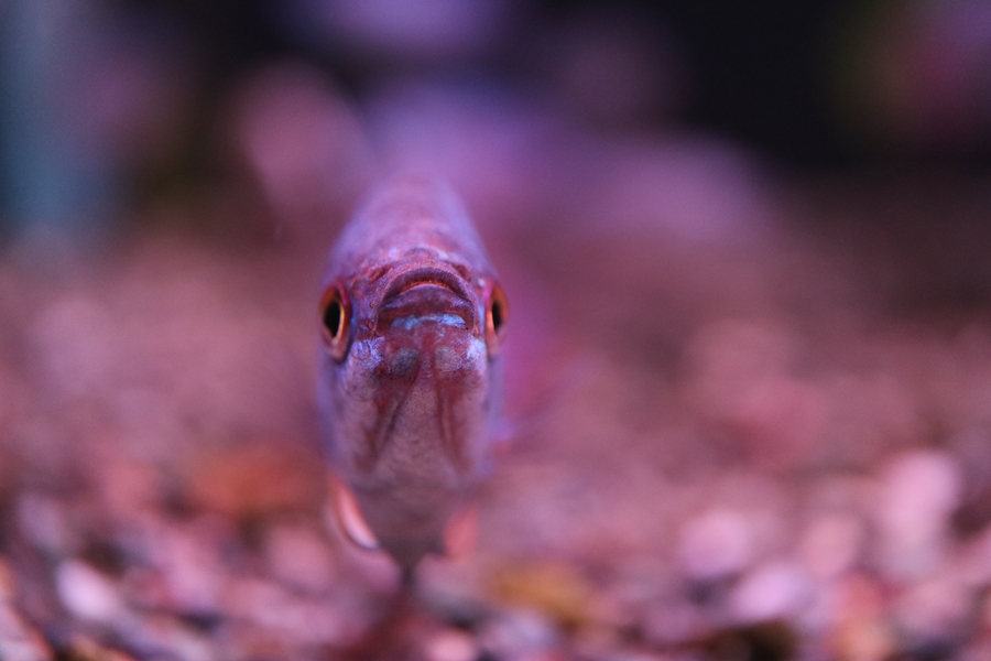 635984735964803995OJ_P3