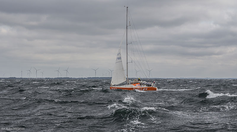 ip2_bitwa2015_fot_k_marjanski