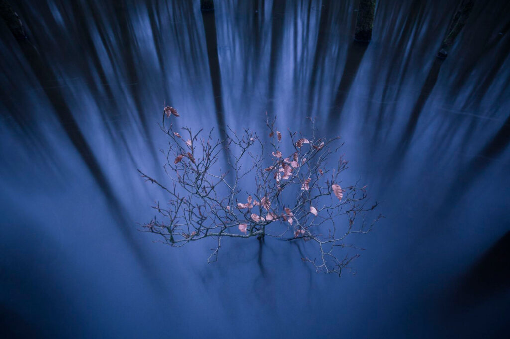 konkurs-national-geographic-nature-photographer-of-the-year-2016-rozstrzygniety-wwww-5