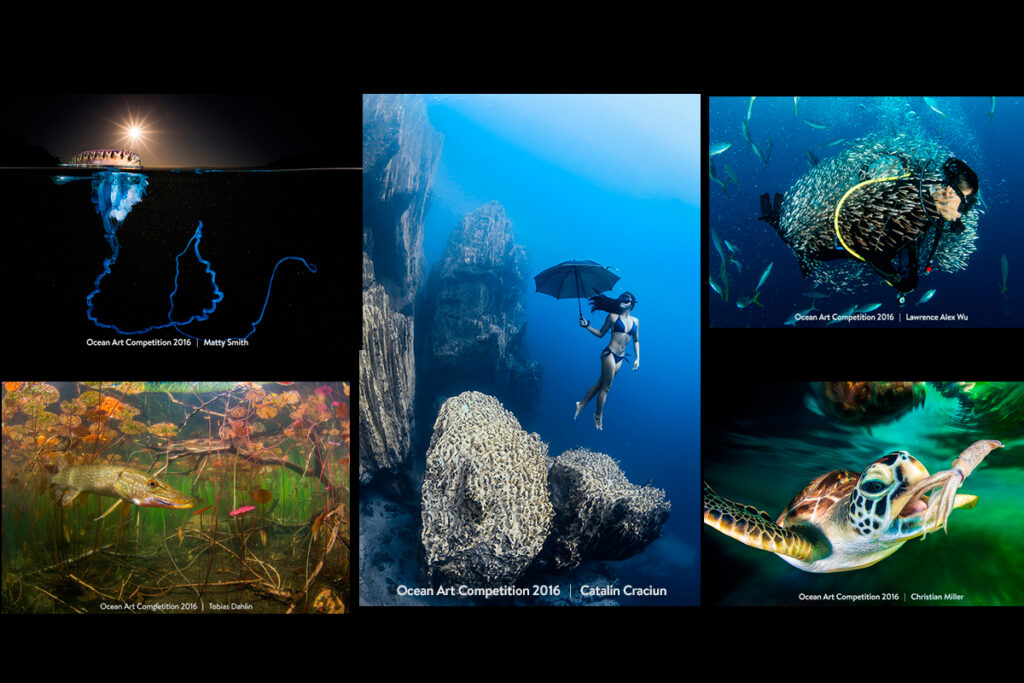 Ocean art konkurs fotograficzny podwodna fotografia
