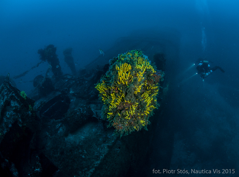 Chorwacja wakacje nurkowanie wraki diving travel