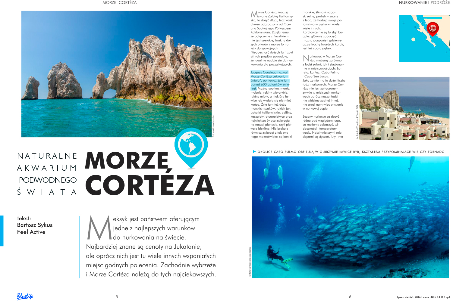 | BlueLife Discovery