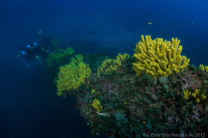 Chorwacja wakacje nurkowanie wraki diving travel