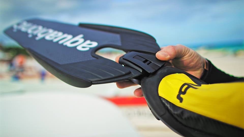 | BlueLife Discovery