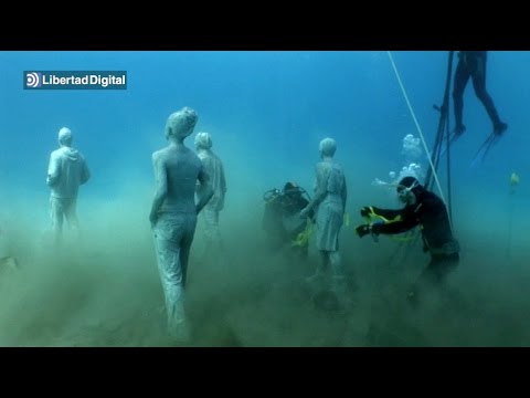 | BlueLife Discovery