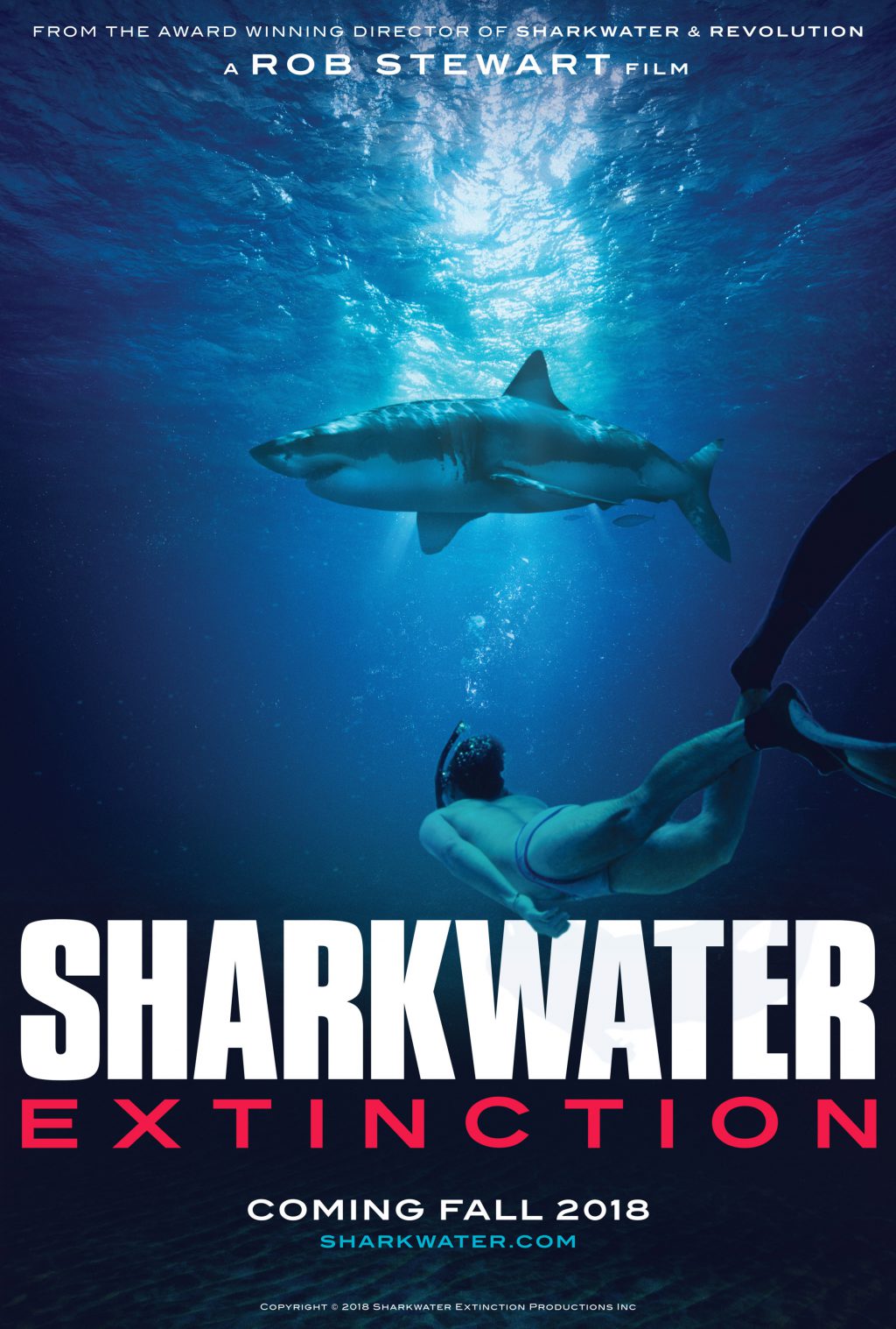 Film Sharkwater Extinción Roba Stewarta