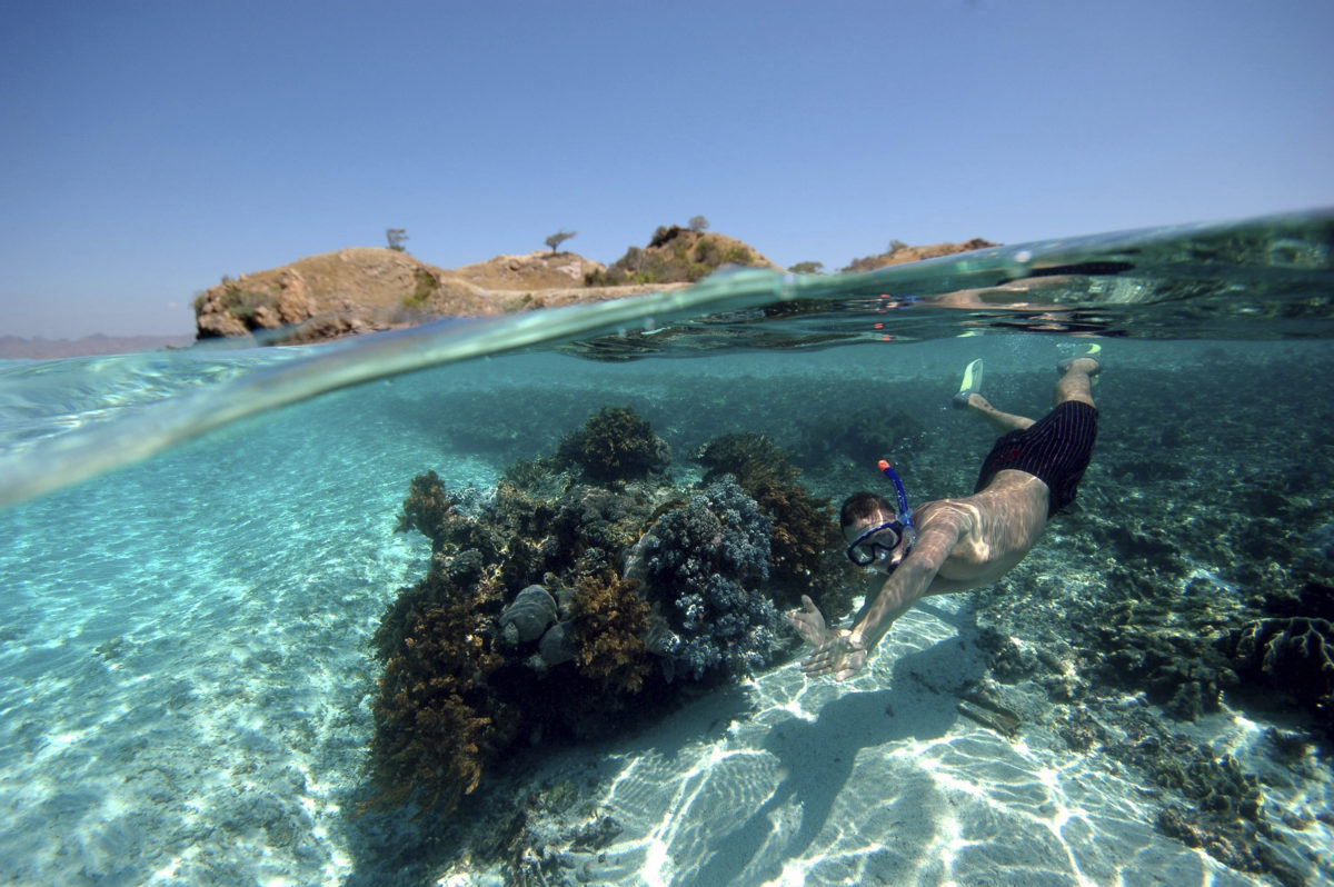 | BlueLife Discovery