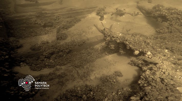 | BlueLife Discovery