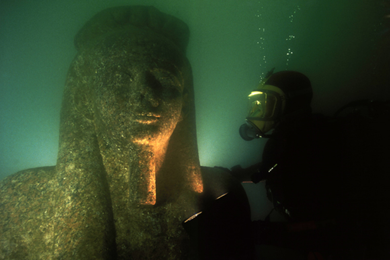 | BlueLife Discovery