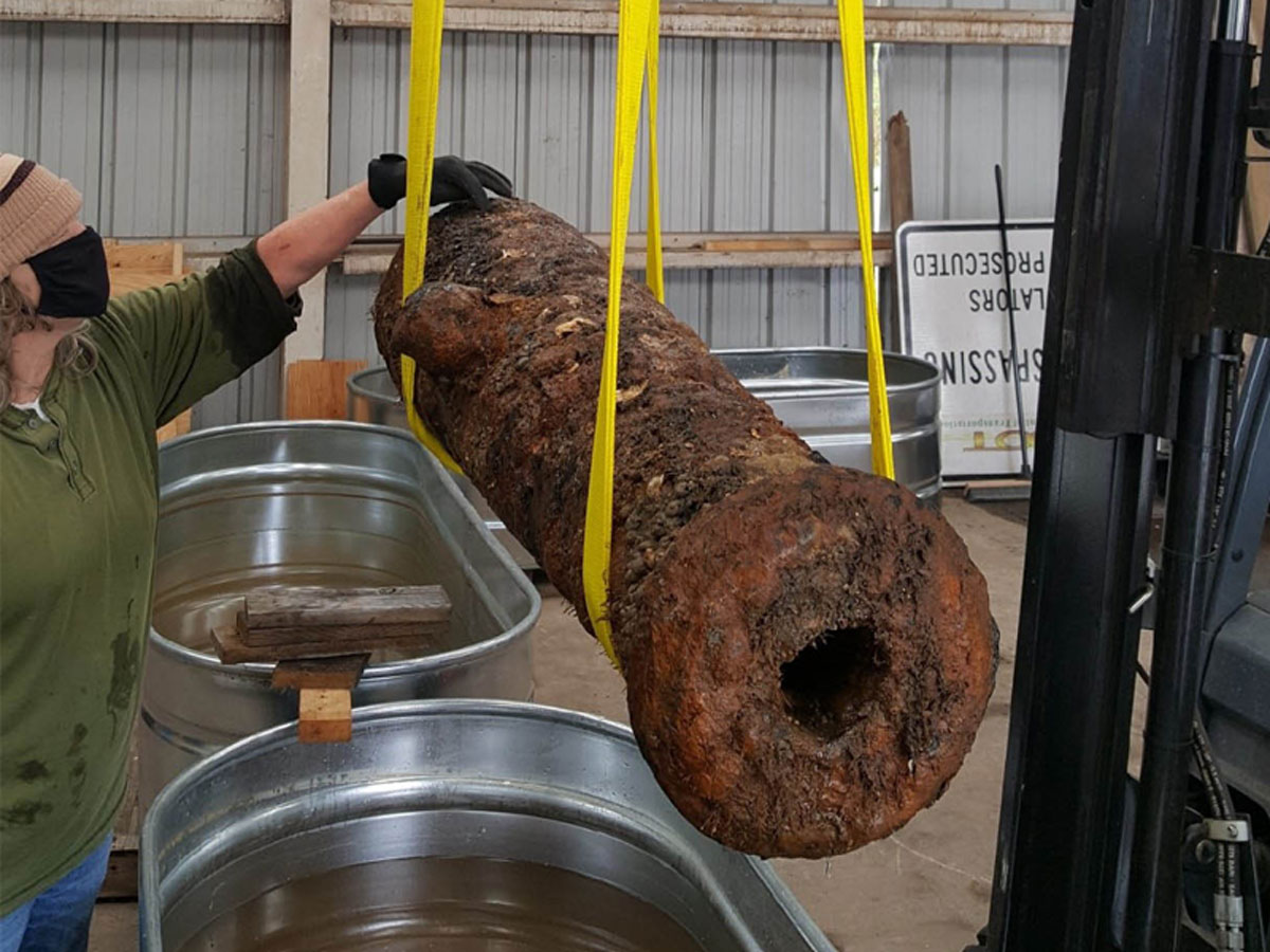 | BlueLife Discovery