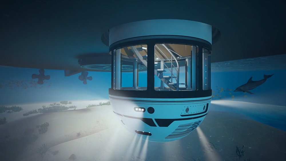 | BlueLife Discovery