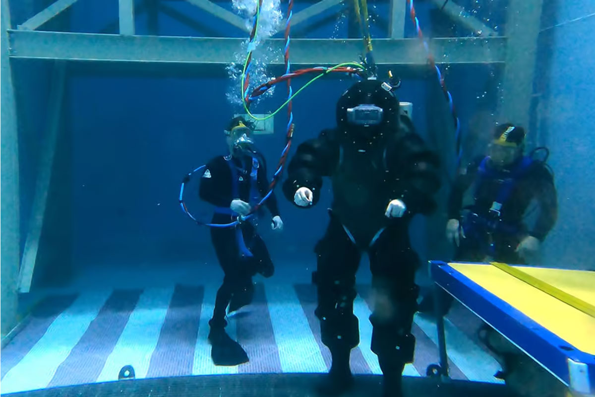 | BlueLife Discovery