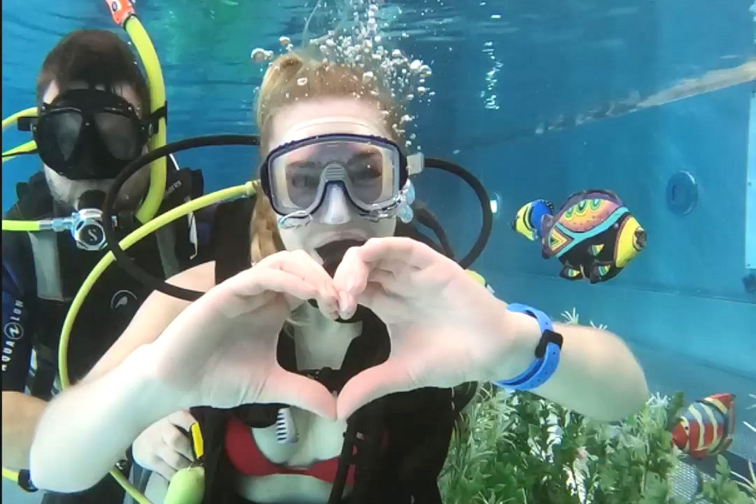 | BlueLife Discovery