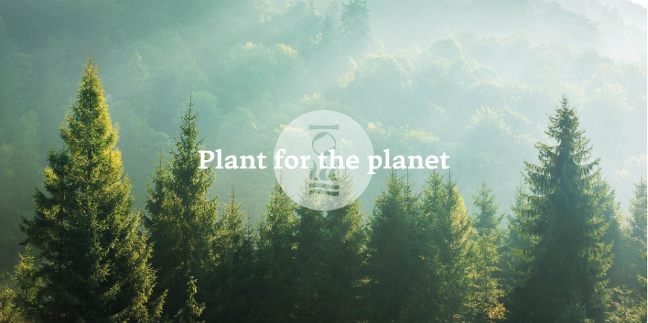 | BlueLife Discovery