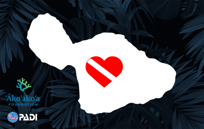 Wspierajmy społeczność nurkową na Maui - dołącz do PADI i Fundacji Ako'ako'a!