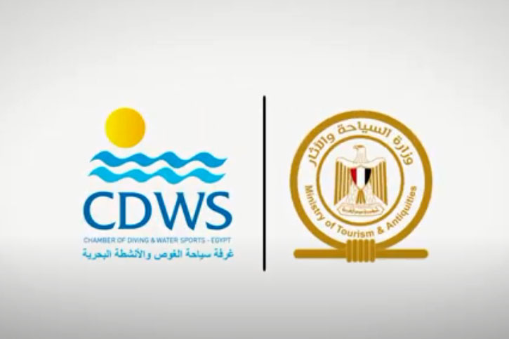 | BlueLife Discovery