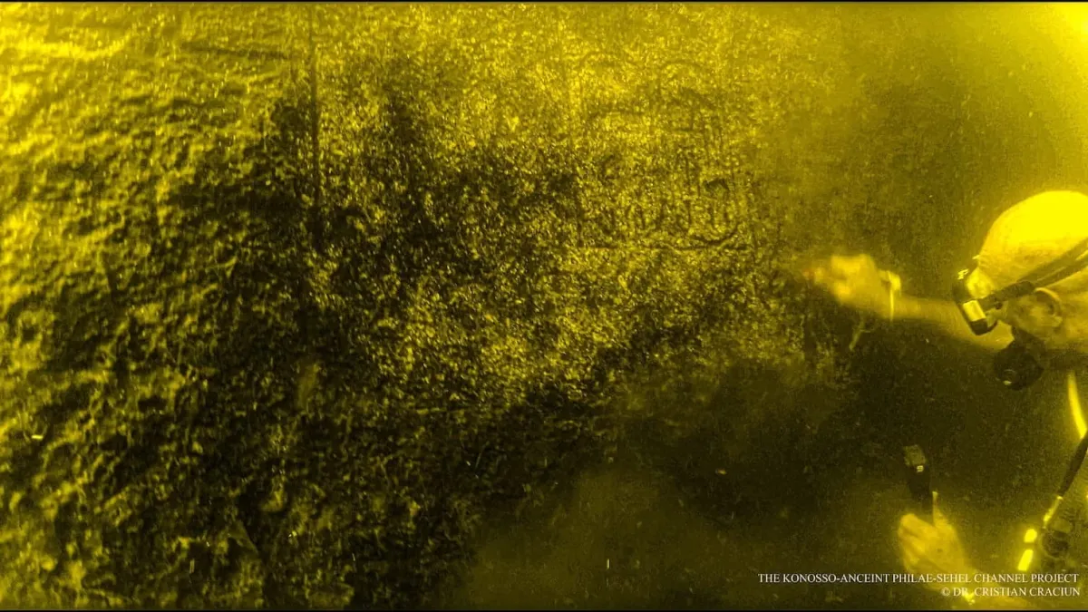 | BlueLife Discovery