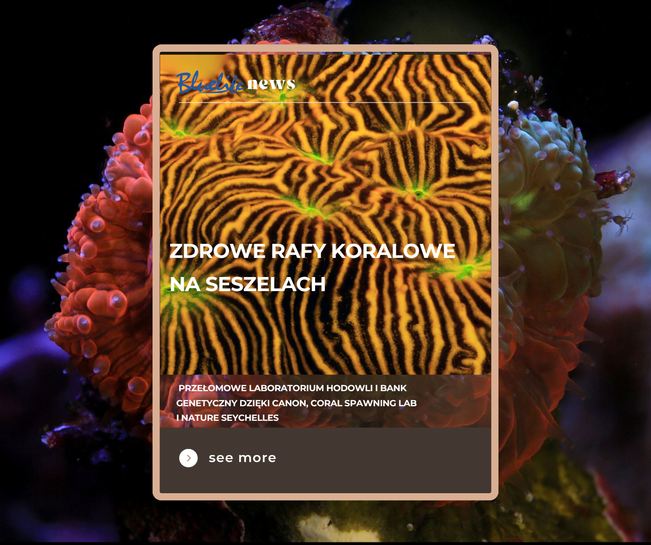 Zdrowe rafy koralowe na Seszelach – przełomowe laboratorium hodowli i bank genetyczny dzięki Canon, Coral Spawning Lab i Nature Seychelles