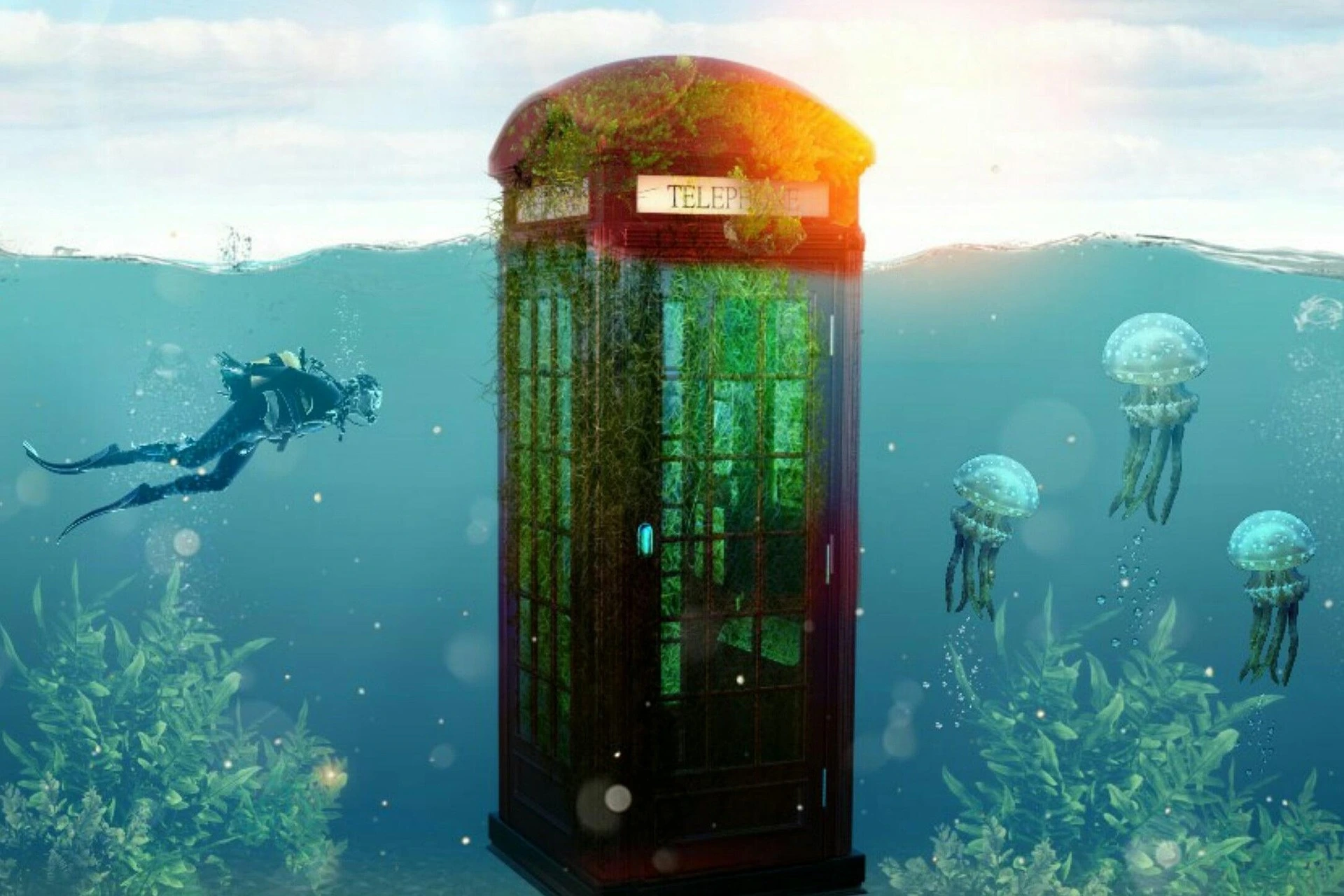 | BlueLife Discovery