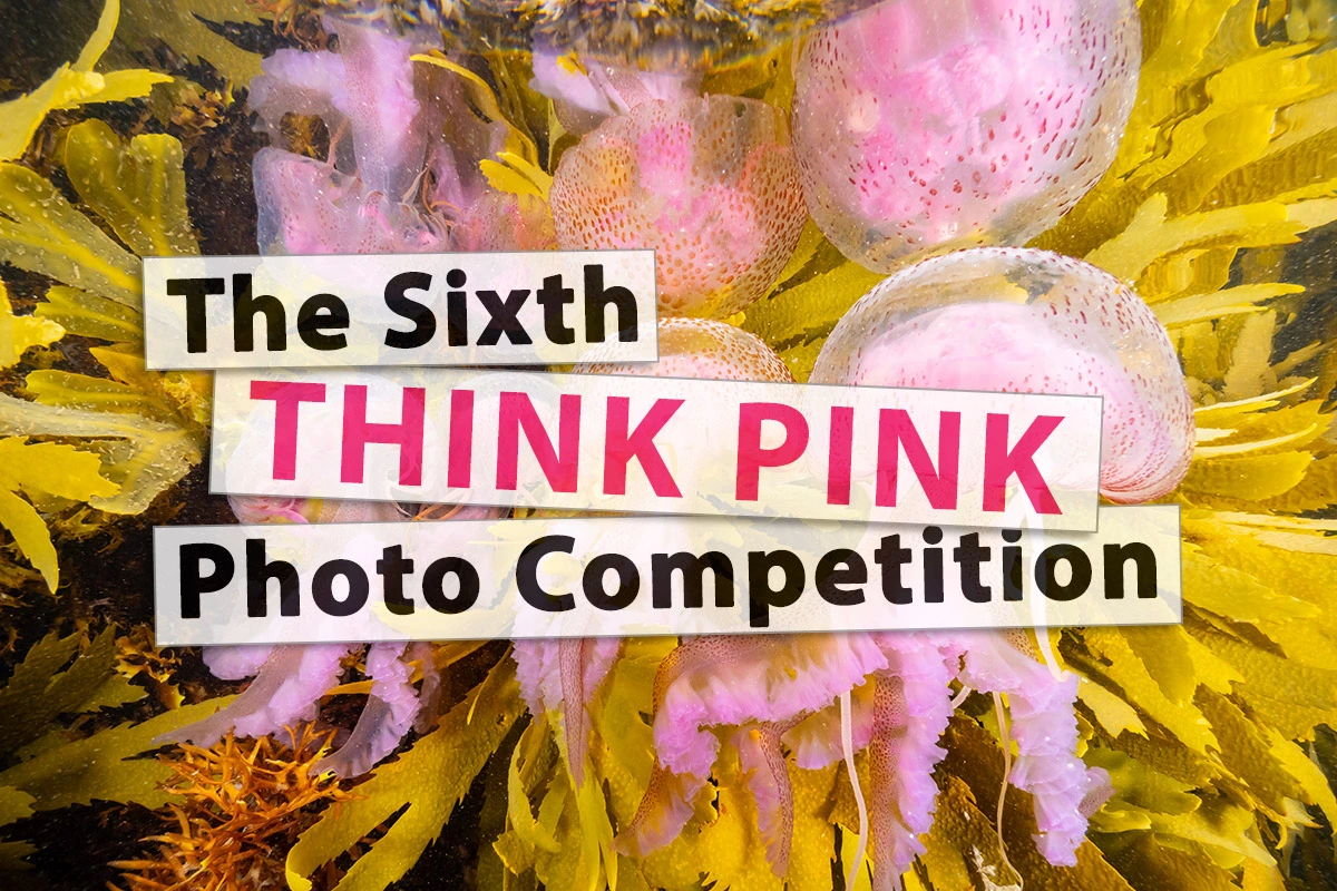 Szósty konkurs fotograficzny Think Pink – sztuka, która pomaga