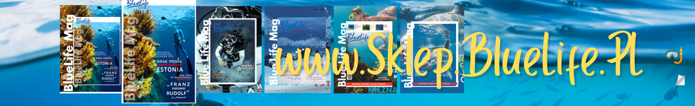 bl sklep  poziom gl 980