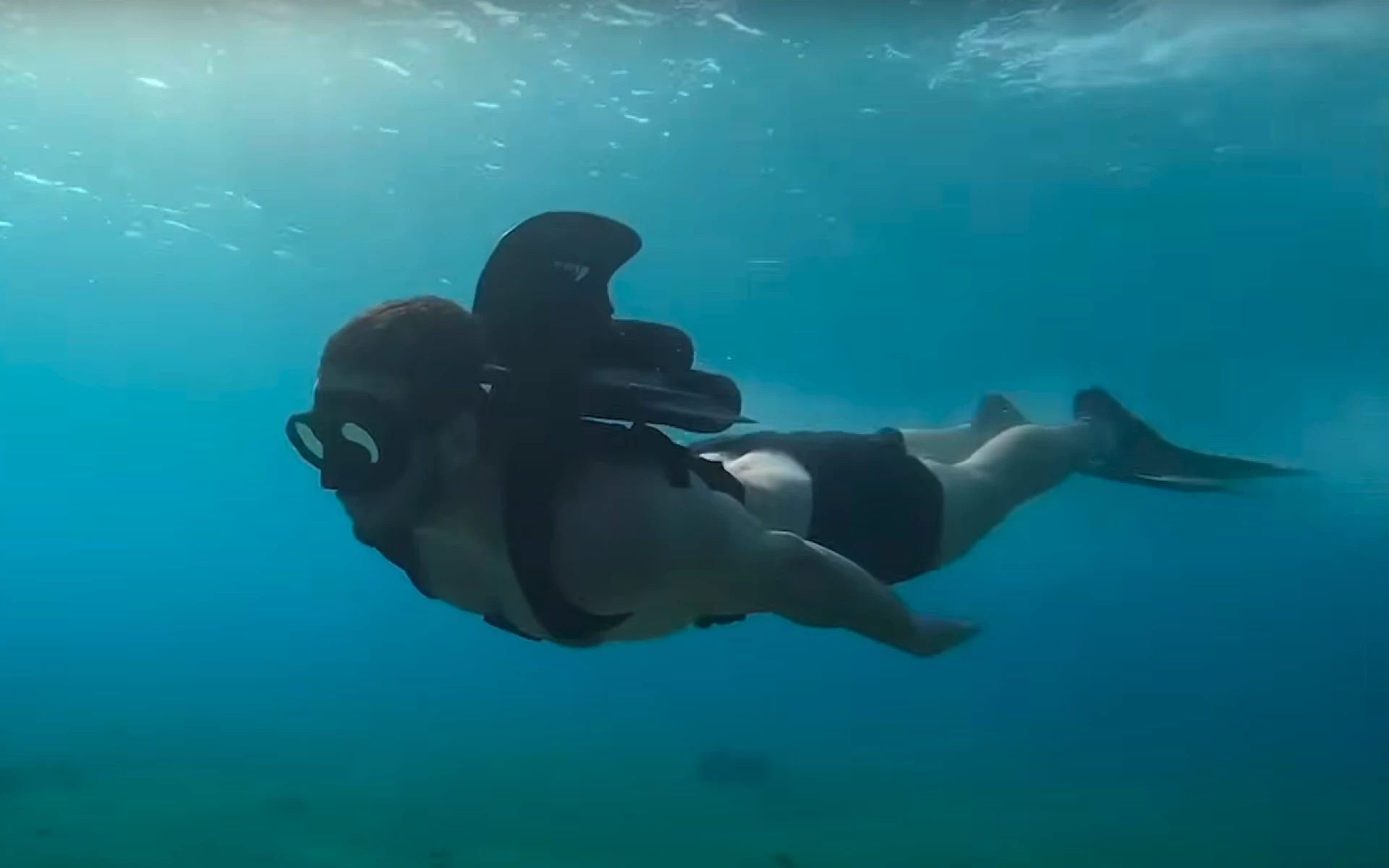 Plecaki odrzutowe pod wodą - Shark Jet Pack i Kikfin Fly