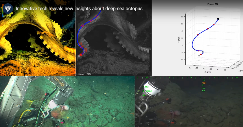 Trójwymiarowe pomiary w czasie rzeczywistym – innowacyjny system otwiera nowe możliwości badań w głębinowych