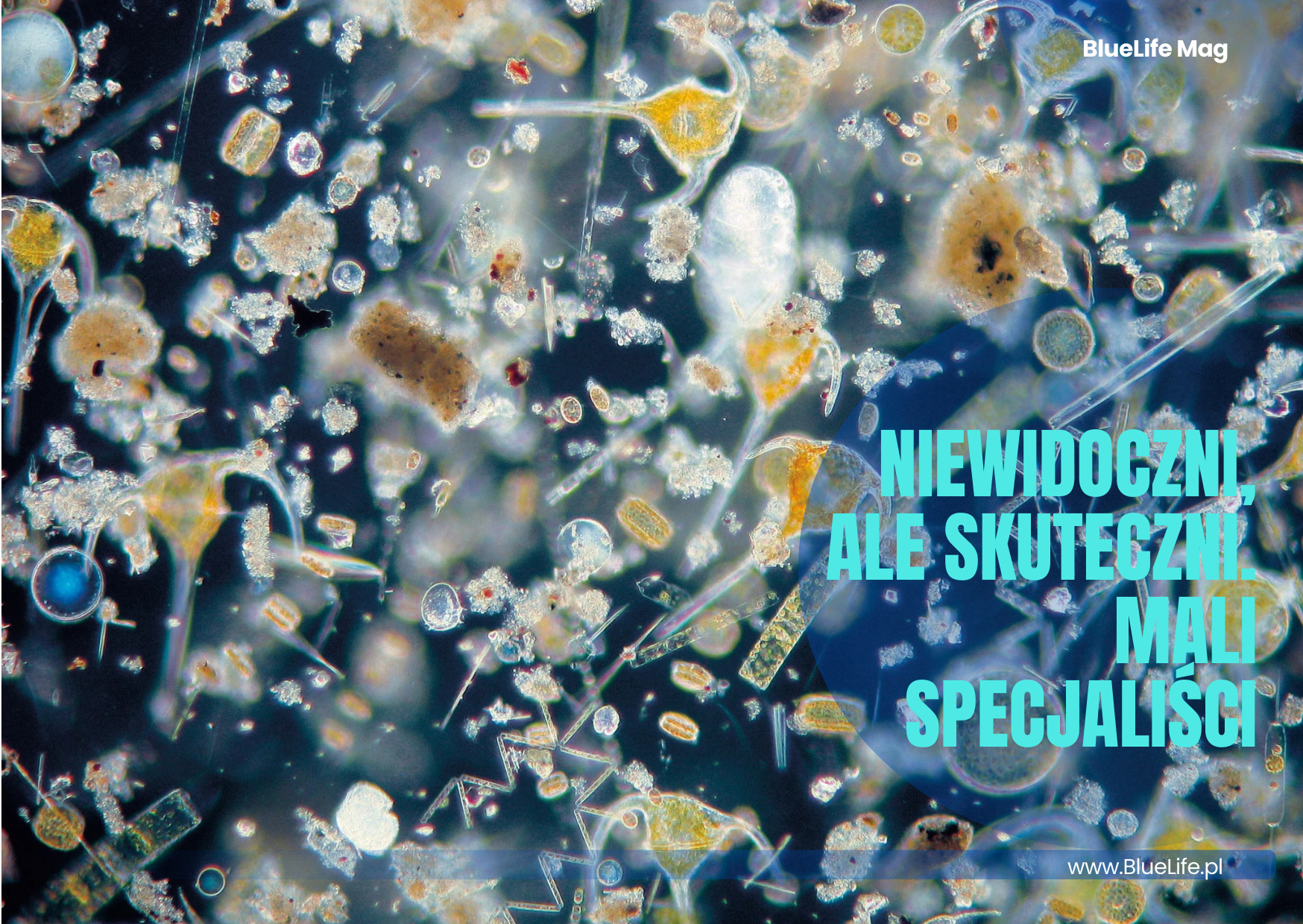 Niewidoczni, ale skuteczni.
Mali specjaliści