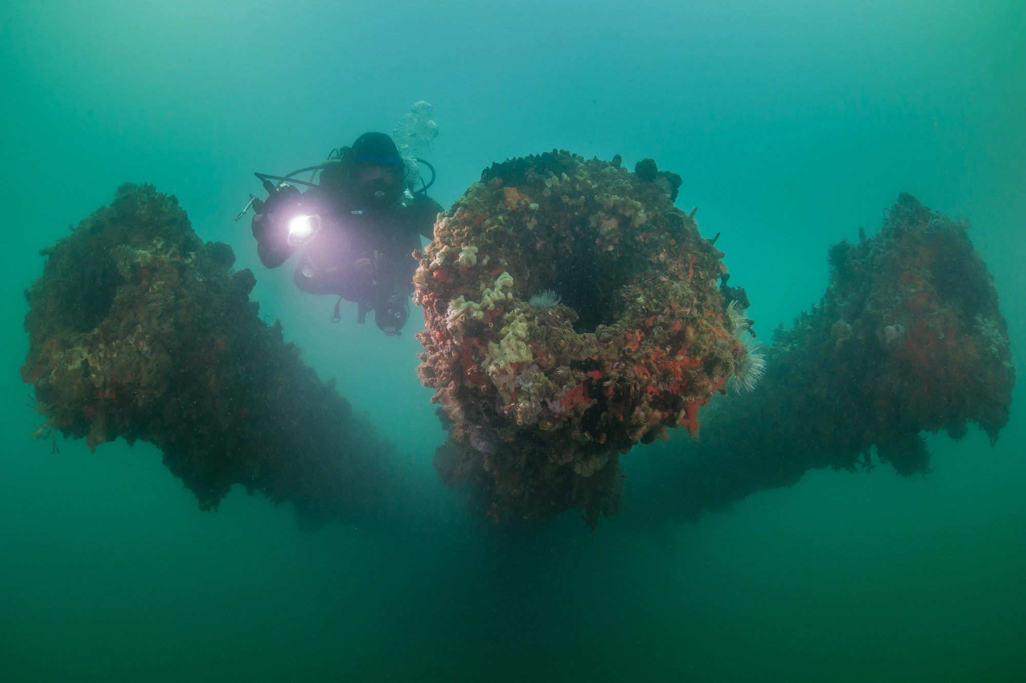 Ropa wyciekająca z USS Arizona – globalny problem wraków z czasów II wojny światowej