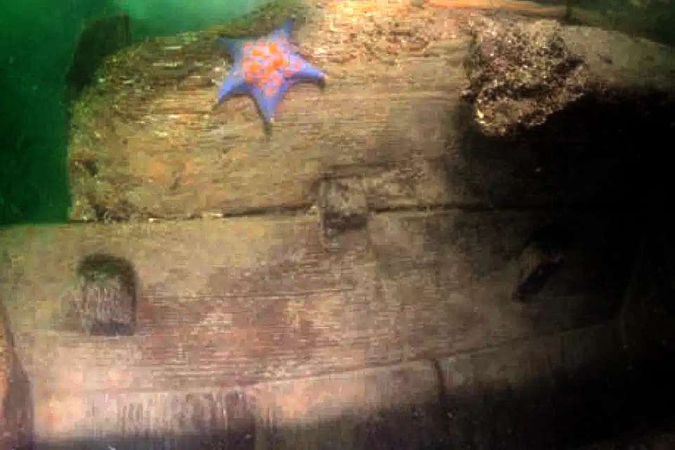 600-letni wrak Mado 4 wydobyty z dna morskiego