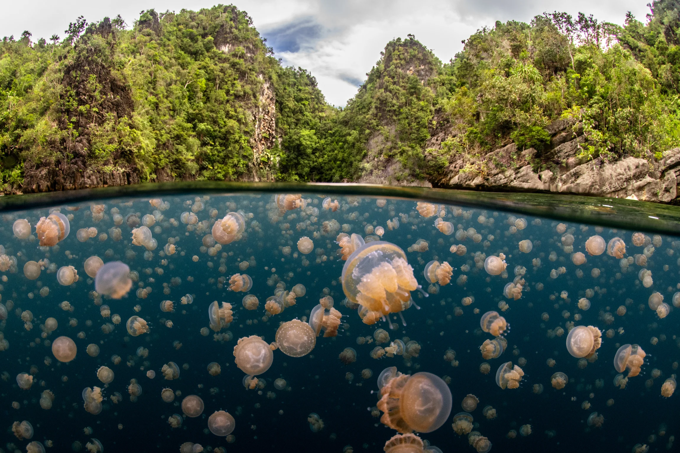 Oceany uchwycone w obiektywie – konkurs fotograficzny ONZ 2026