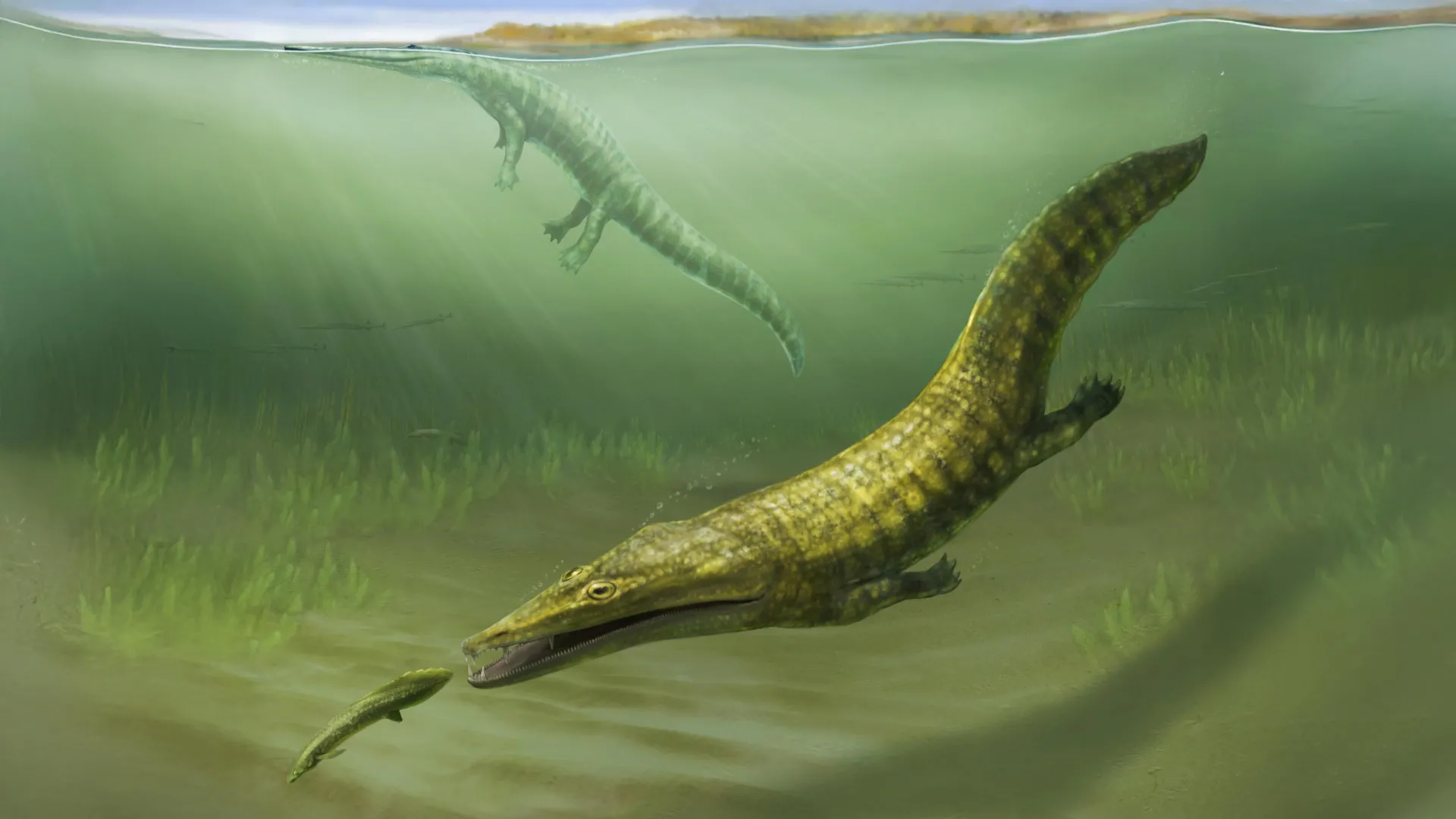 Po wielkim wymieraniu ocean szybko wypełnił się drapieżnikami 