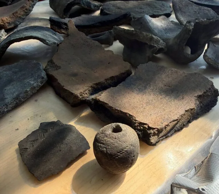 Zabytki archeologiczne odkryte w Gran Carro