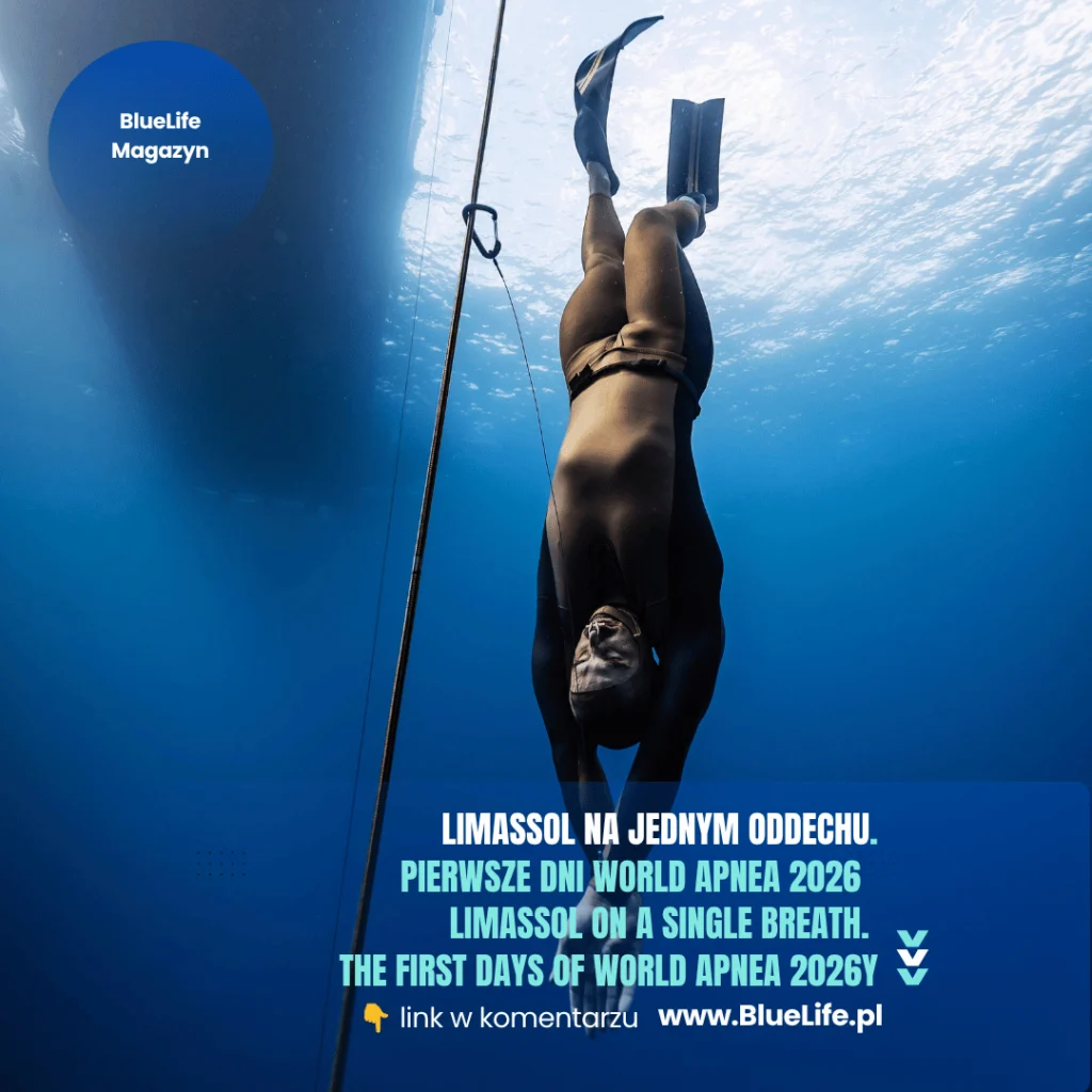 freediving, AIDA International / World Apnea 2026 Depth World Championships